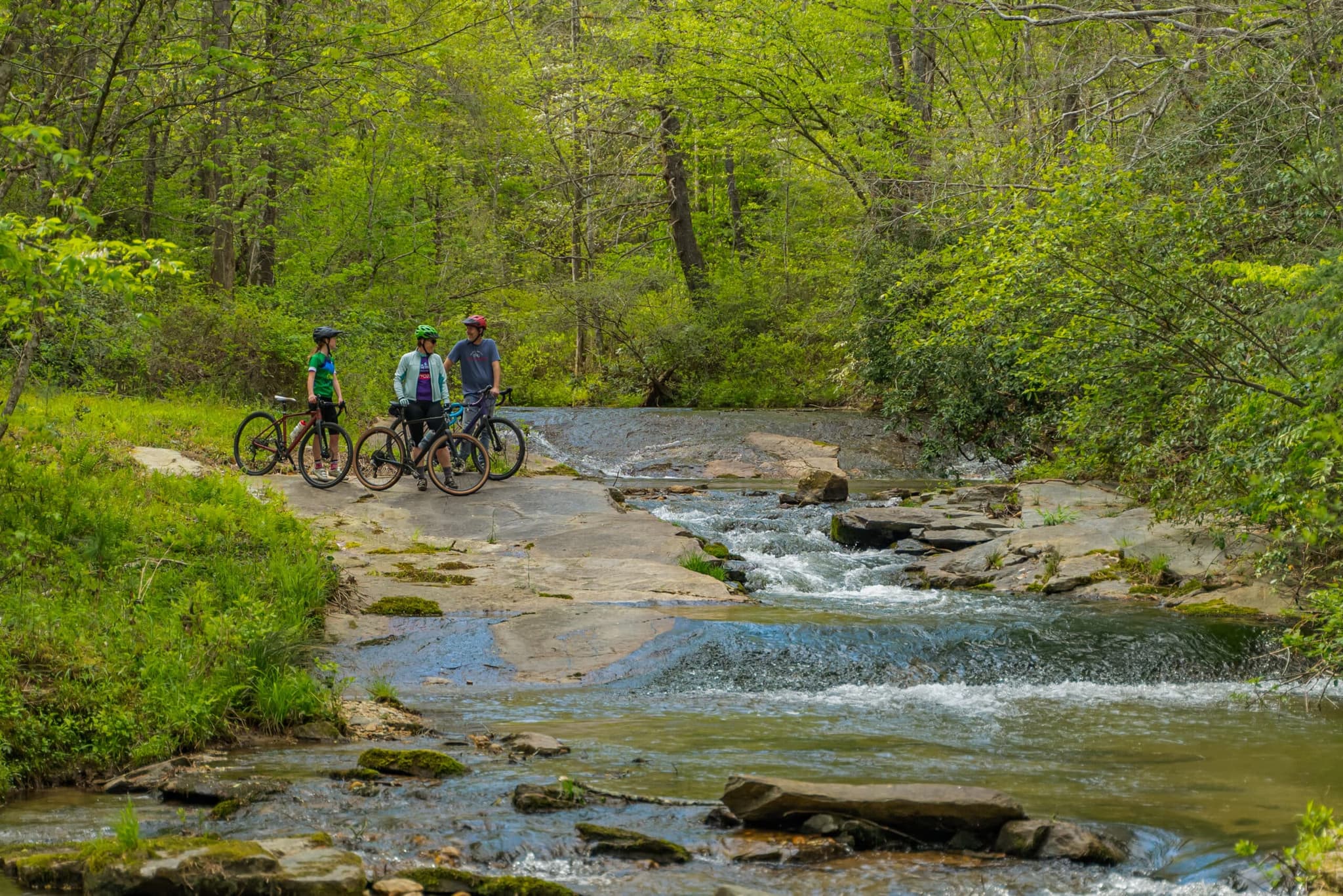 Nature trails at Falls Park