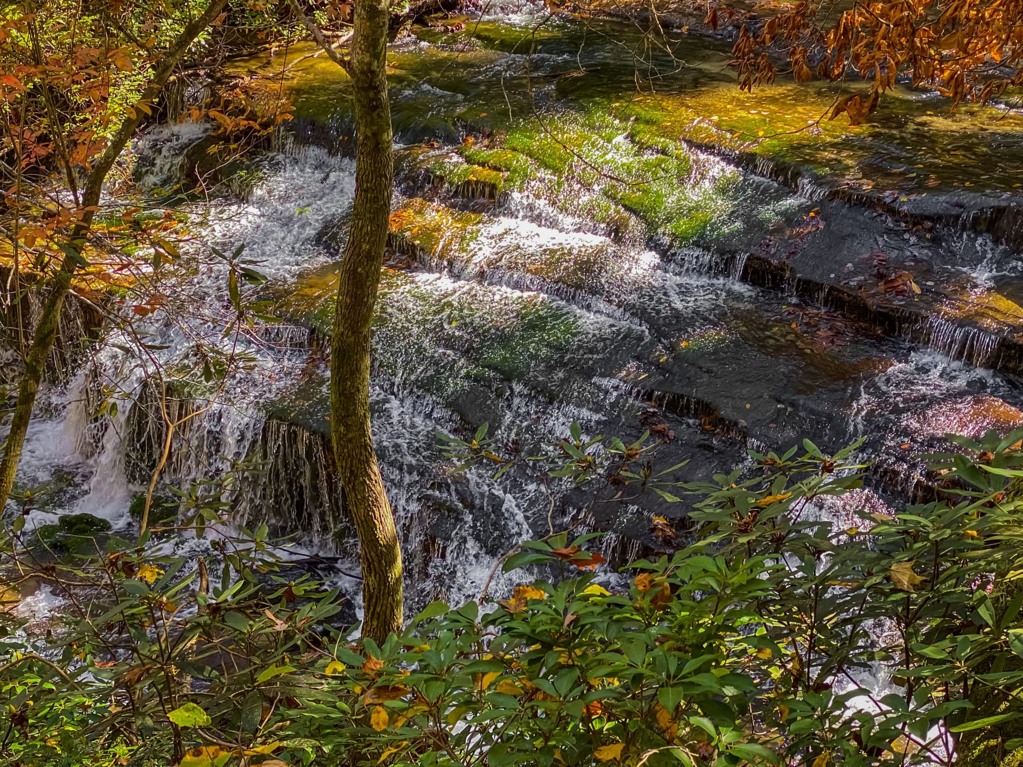 McKinney Falls